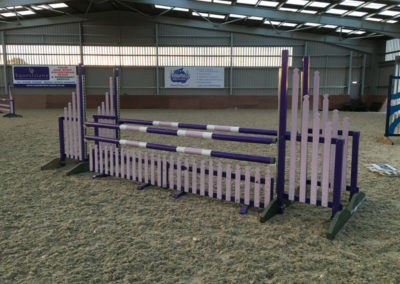 showjump image