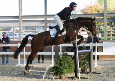 Rider jumping Heavenly Bedding logo on saddle blanket